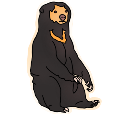 a sun bear sitting, facing the rightat a 3/4 angle. it has mostly fur that is vry dark brown, almost black. it has fur that is gold on its face and a chevron on its chest. the drawing has a white and cream outline.